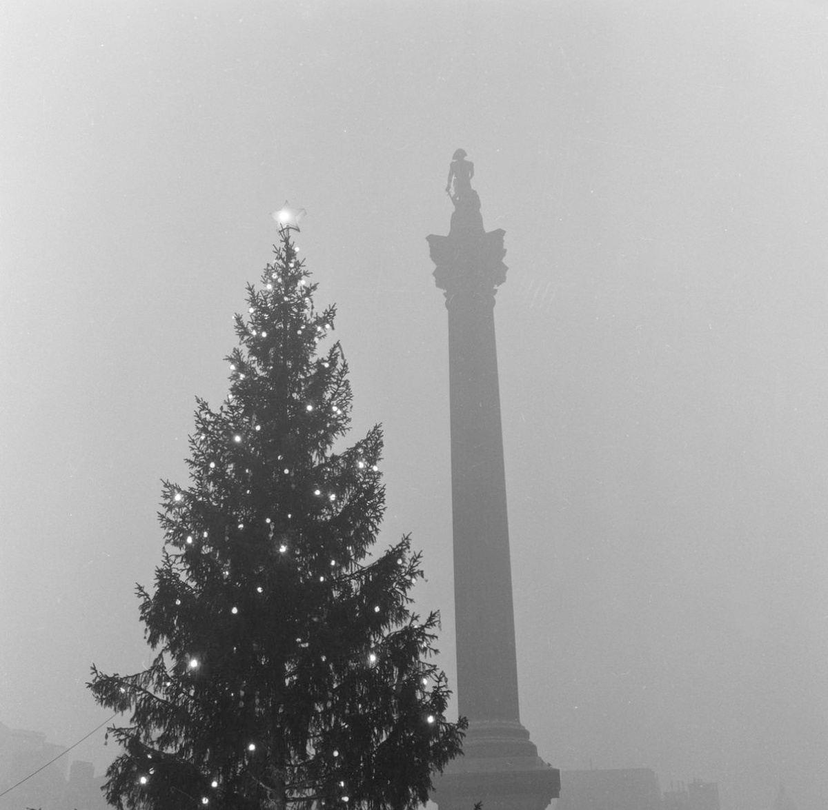Норвежская ель на Трафальгарской площади - 1955 год. Фотография из открытого источника. 