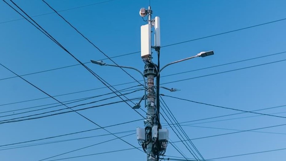    Автор фото: Тихонов Михаил/"ДП"