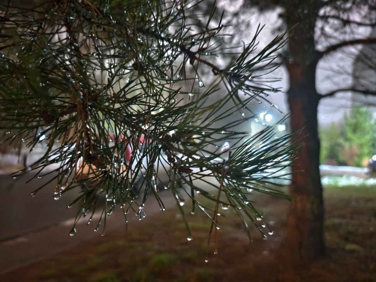 Пасмурный вечер 