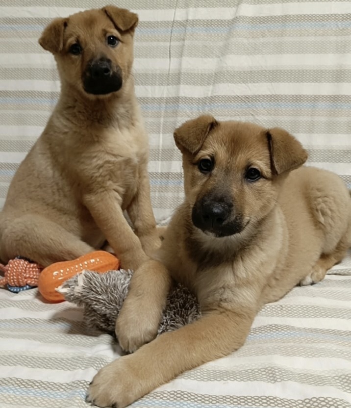 Вы ещё не ослепли от такой красоты?