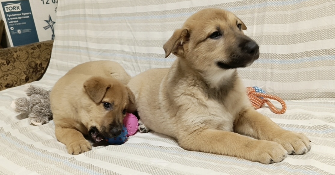 Какой уверенный взгляд!