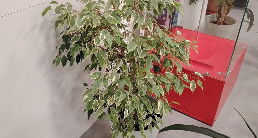    фото из архива редакции