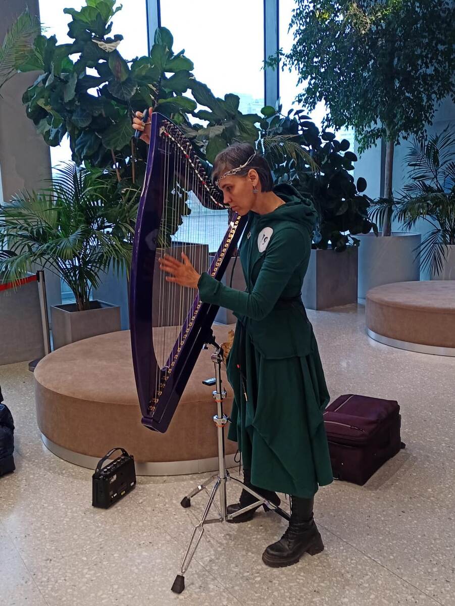 Готовлю арфу к живому прослушиванию на 8 сезон проекта "Музыка в метро". Эпичненько получилось.