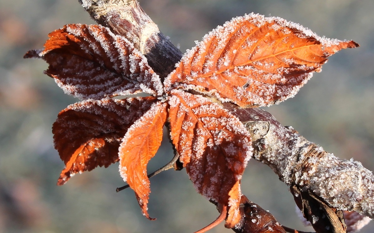 Фото из личного фотоархива