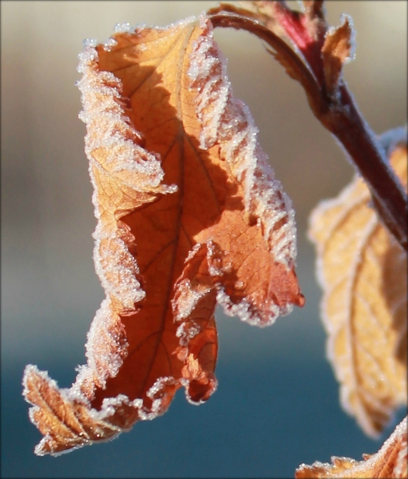 Фото из личного фотоархива