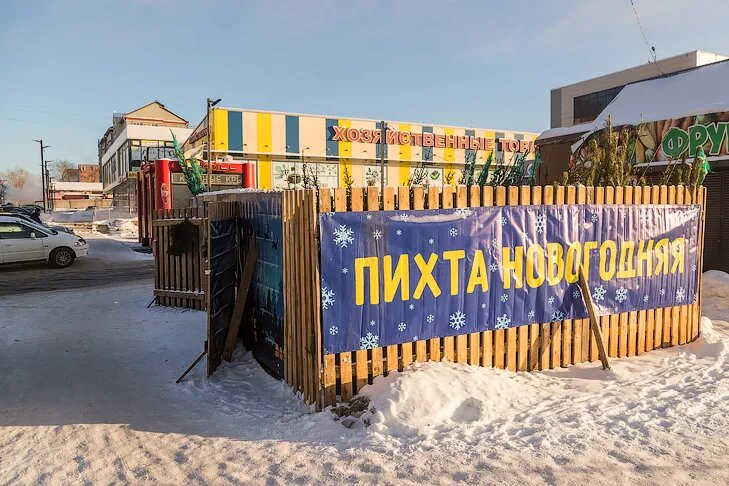    Фото Андрея Заржецкого