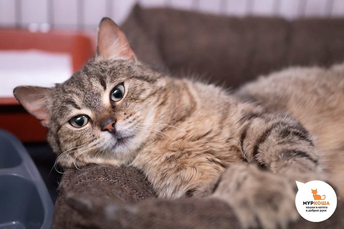 Миролюба приехала из города Суджи.