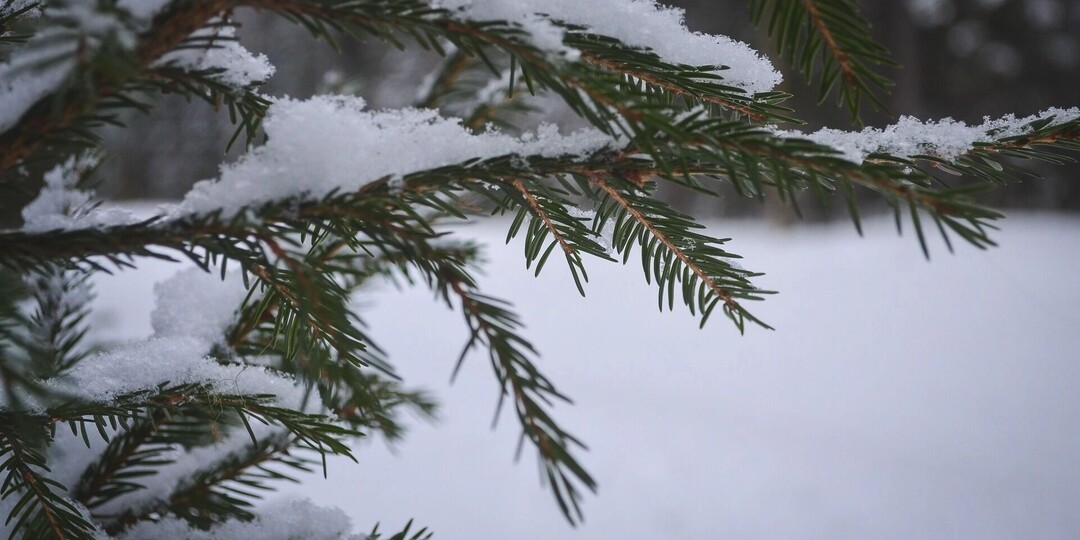 На Тюмень надвигается метель