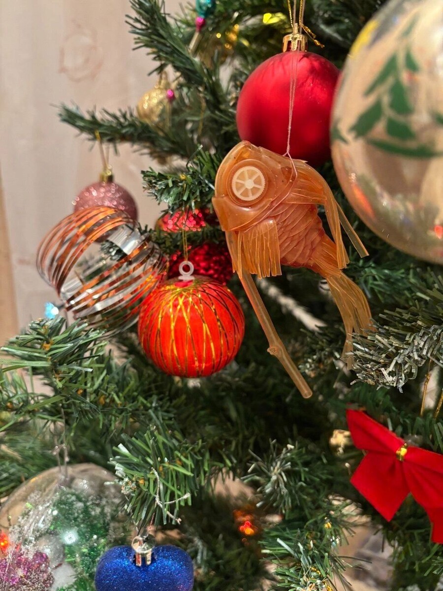     Источник: nashgorod.ru