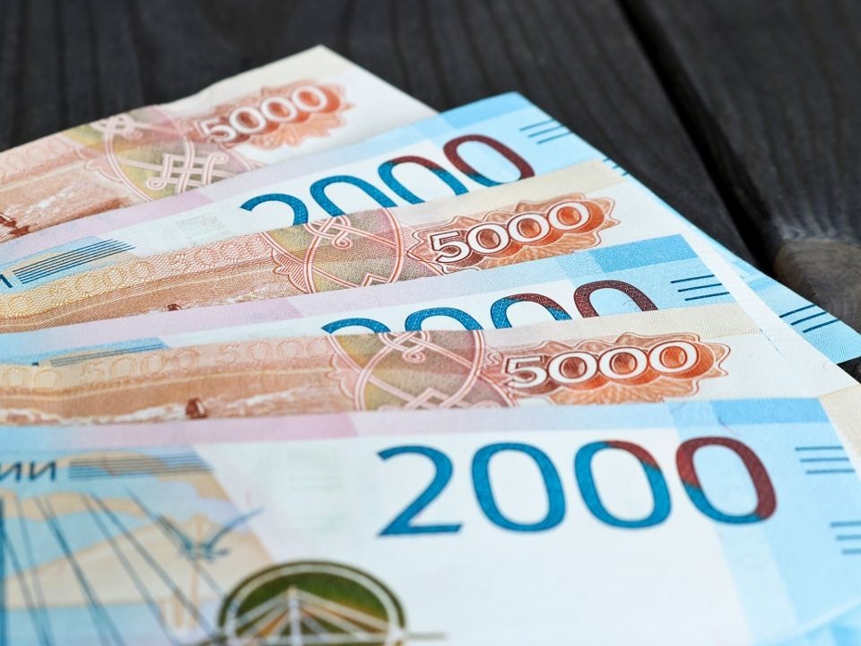    Фото: istockphoto.com/Svetlana Sarapultseva