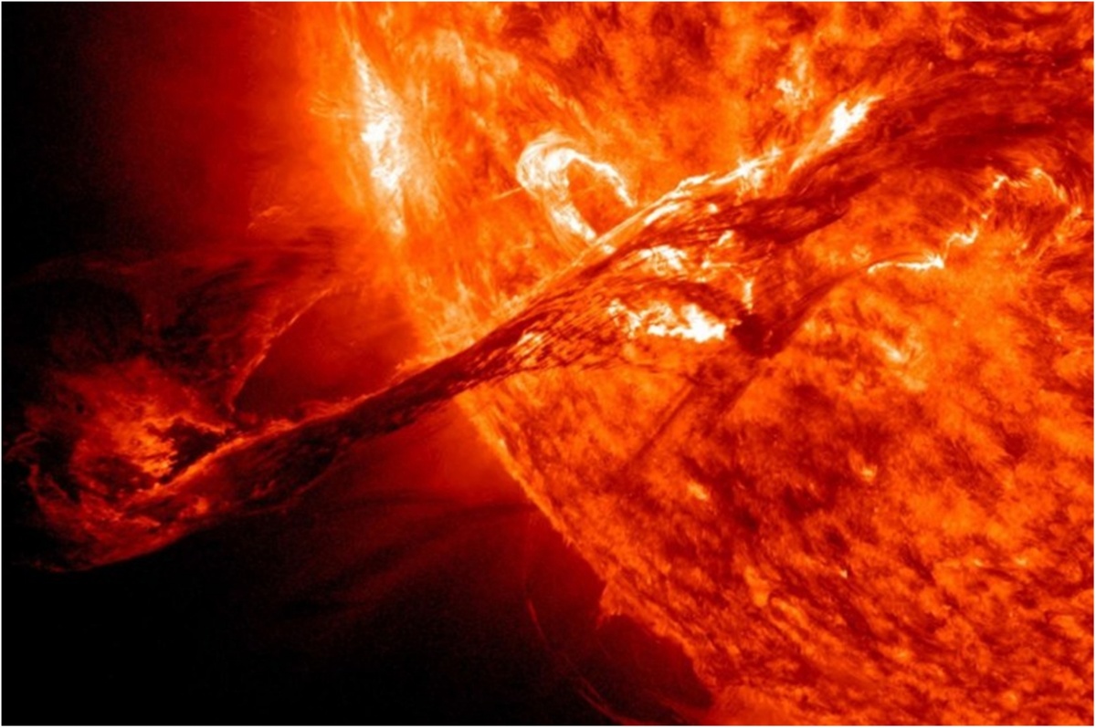     / Источник: © Global Look Press