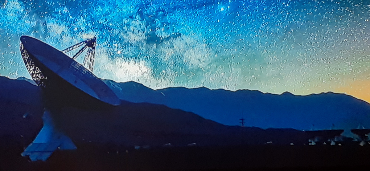 Фото из свободных источников