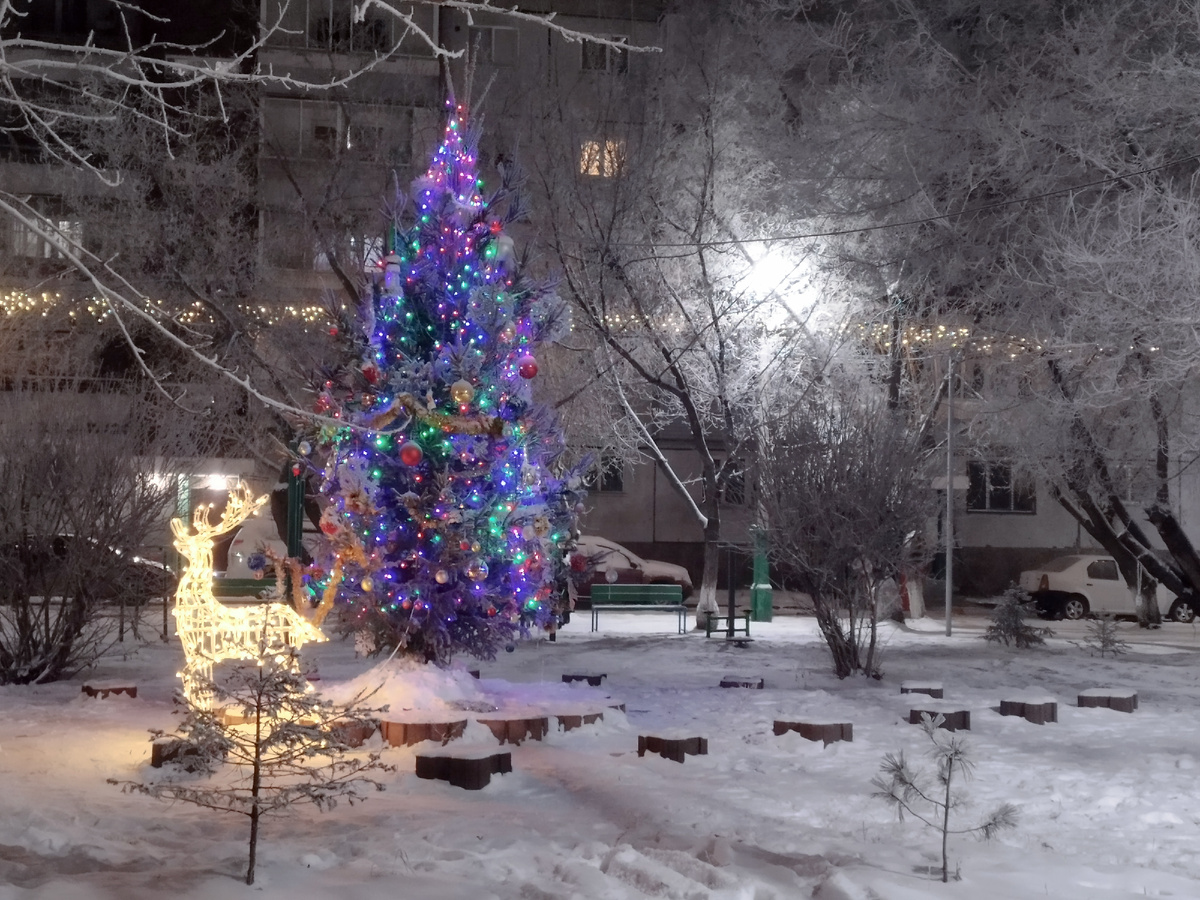 Уже во всех дворах Красноярска. Вчерашнее фото.