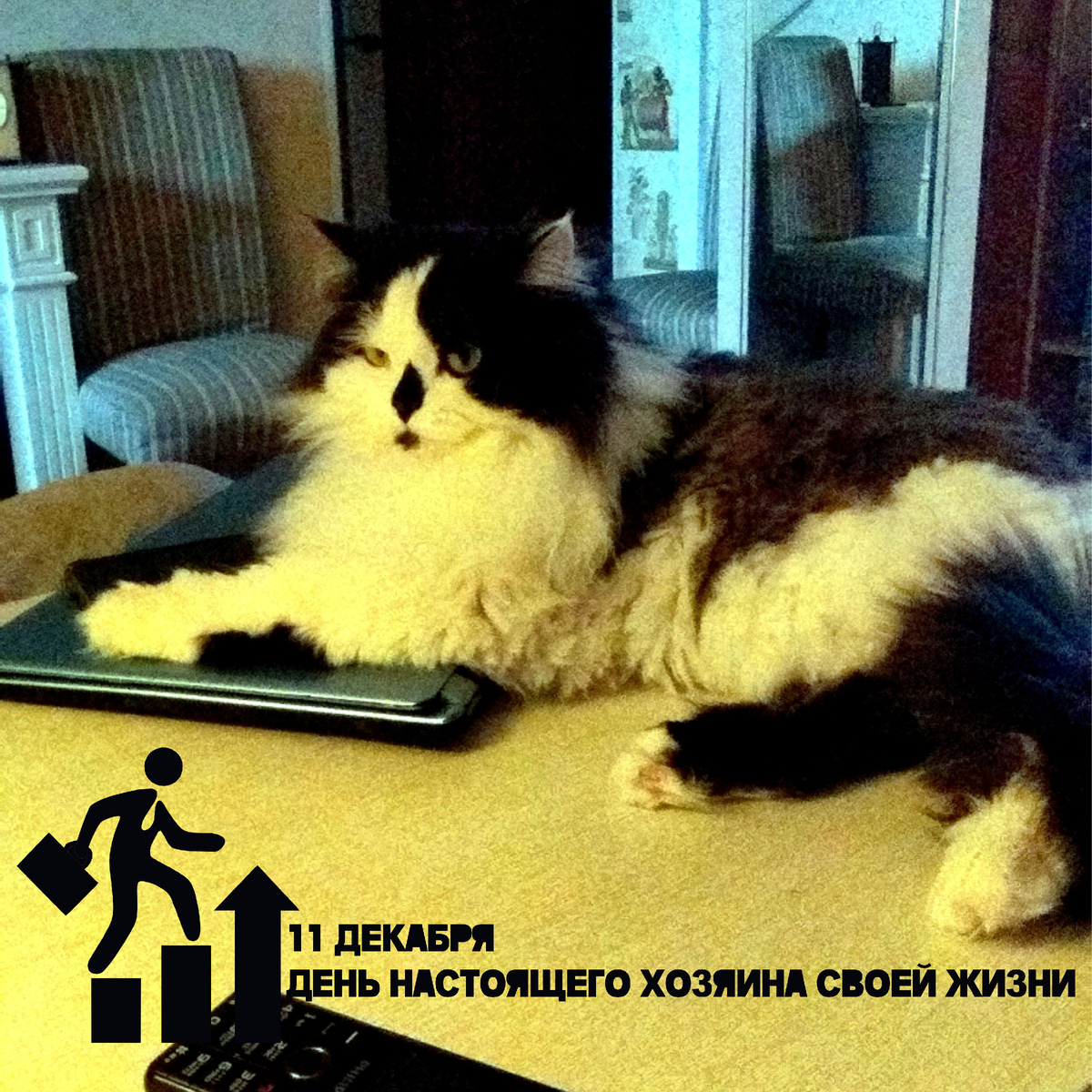 🐾 Комментарий Котейки По Имени Роршах: