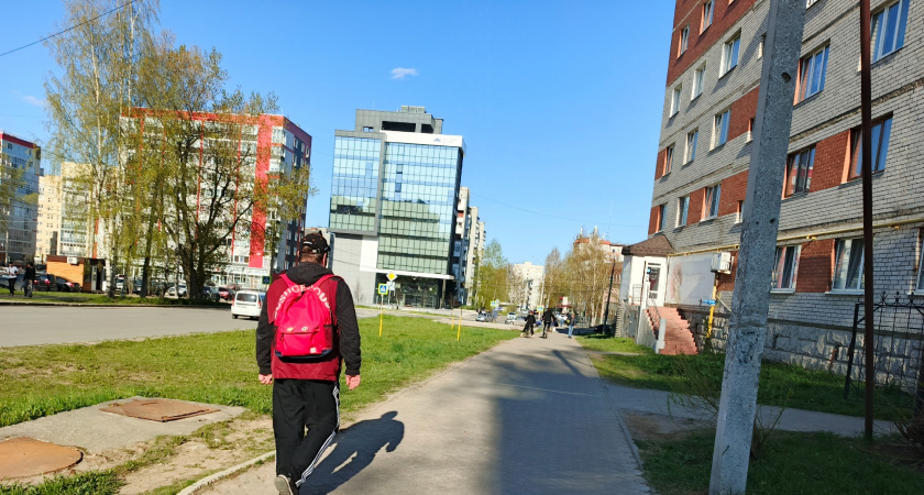    фото bryansk.news
