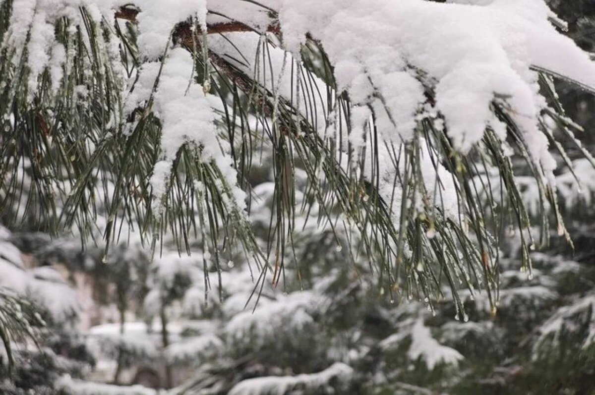    К концу недели в Башкирии потеплеет до -1°