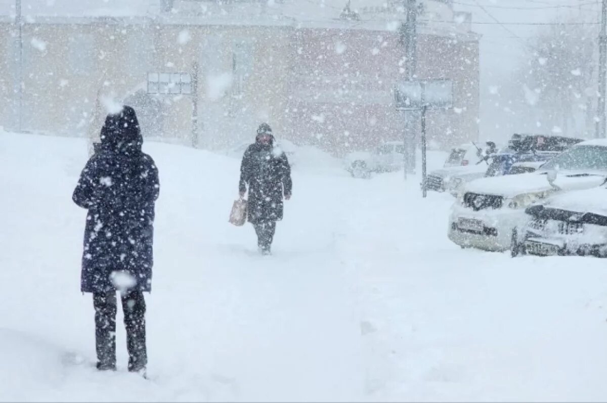    Метель и крепкий мороз: какая погода ждёт Сахалин 12 декабря