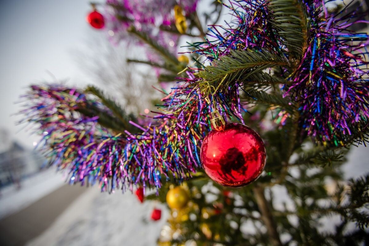    Фото: пресс-служба администрации Южно-Сахалинска Наталья Краснова