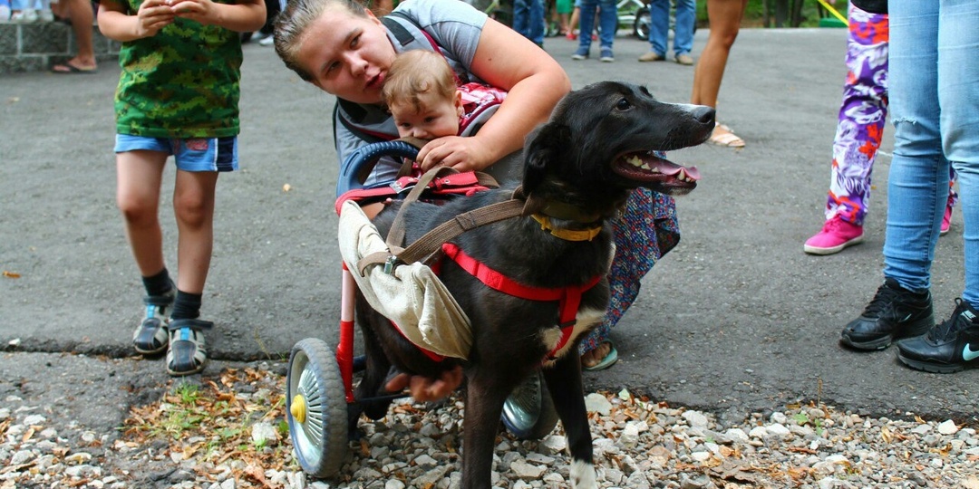 Фрося - особенная собака с большим сердцем! ❤️ Помогите создать для нее комфорт и уют!