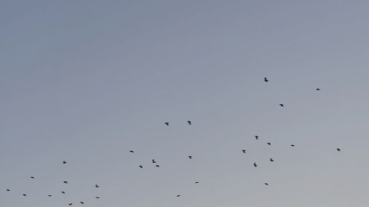    Фото: телеканал «Краснодар»