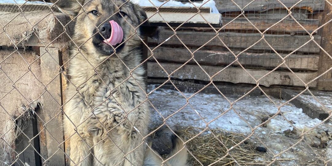 День добра. Завтра зарплата и не собрали на крупу. Это SOS!!!