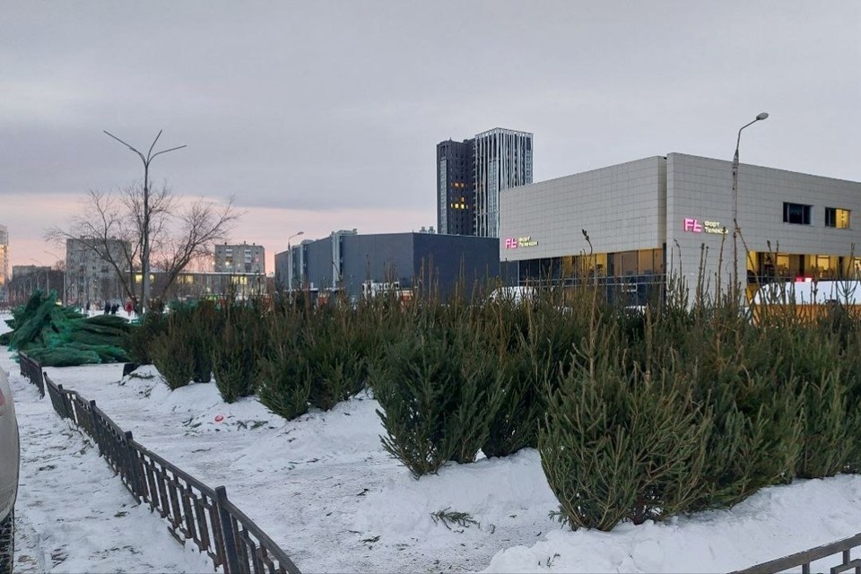    Это елочный базар на улице Крупской, а вскоре они появятся по всему городу. Фото: подписчики "КП-Пермь".