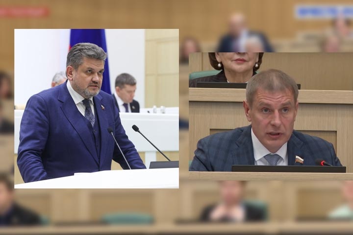 Коллаж 19rusinfo.ru с прямой трансляции заседания Совфеда
