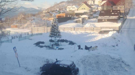 тг-канал "Kamchatka Life"