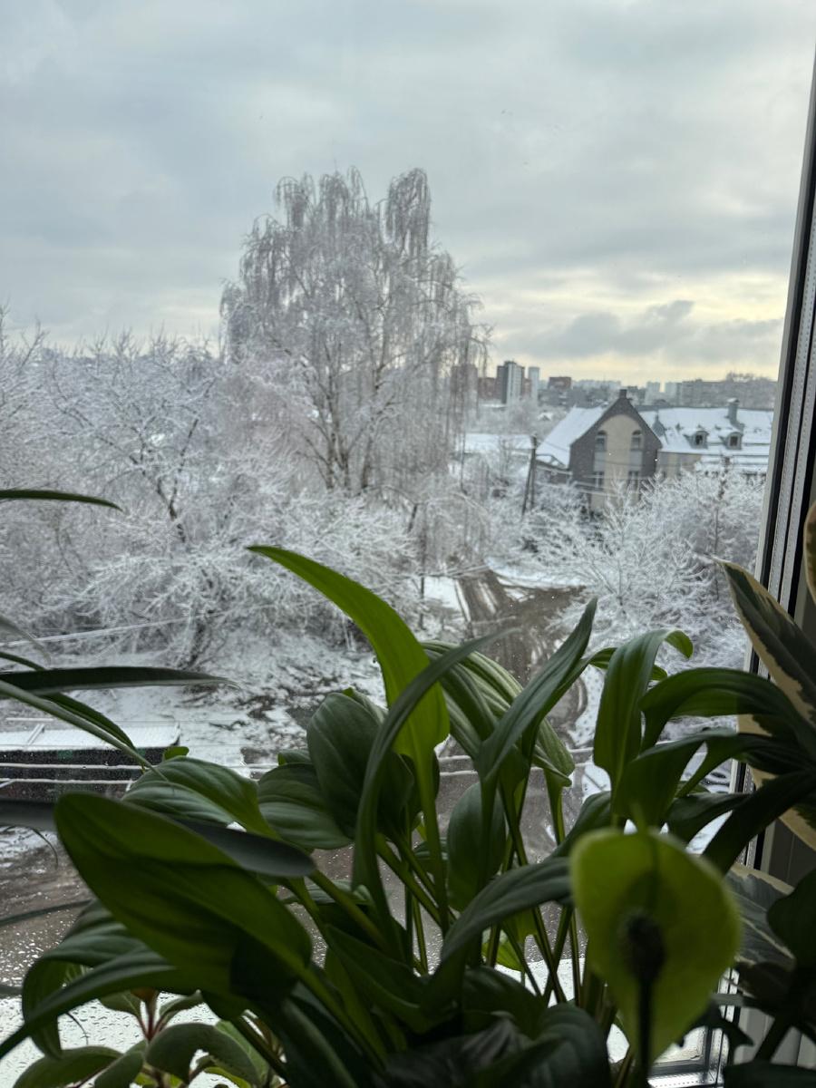 Утро.Фото автора.