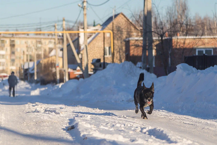    Фото Андрея Заржецкого