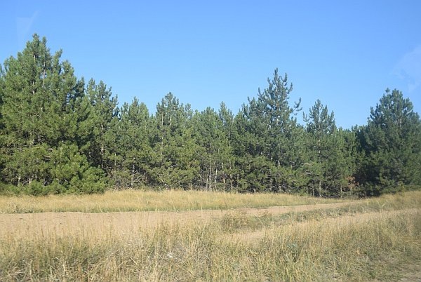    Фото из архива редакции admin