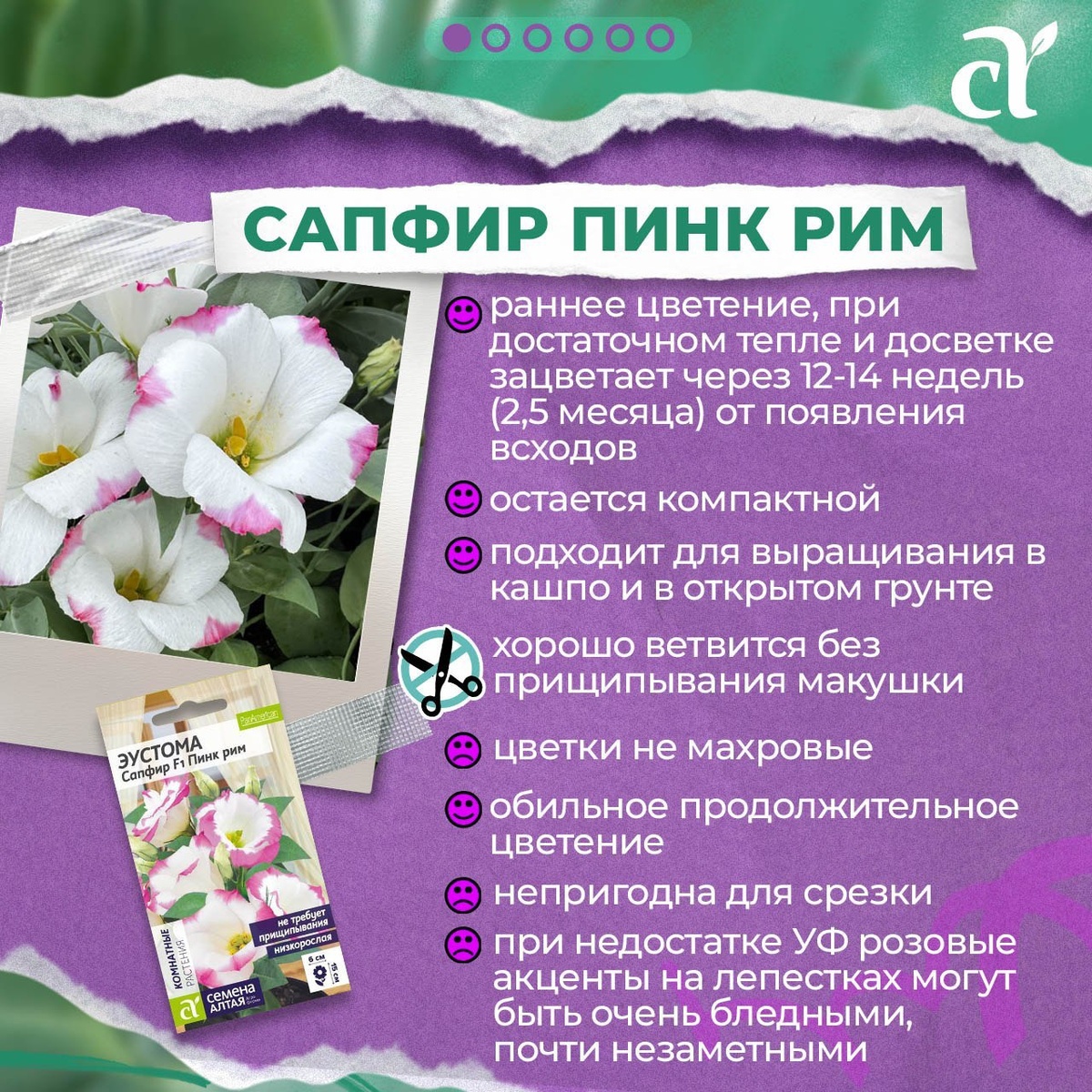 ����� ������� ������? ���������� (�������� �������, ��� � ����������� � �������)