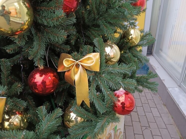     Фото: МК в Пензе