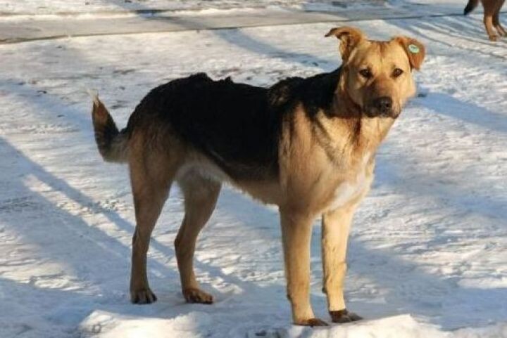    Фото:Виктория Андреева