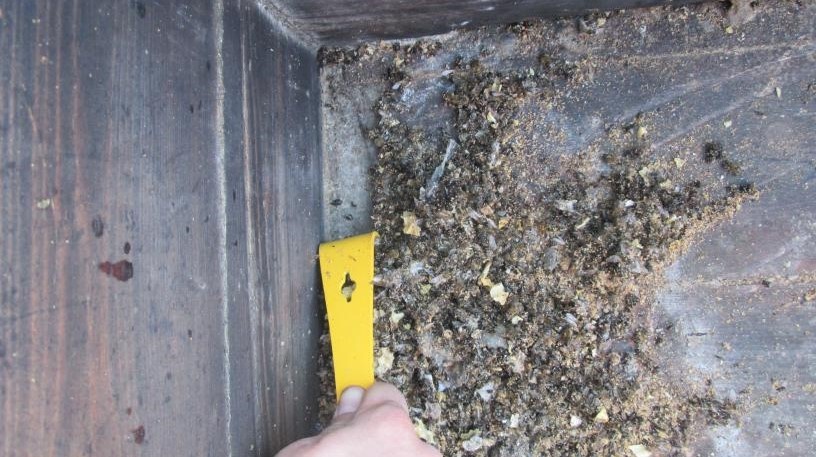 Выгребаем подмор из улья