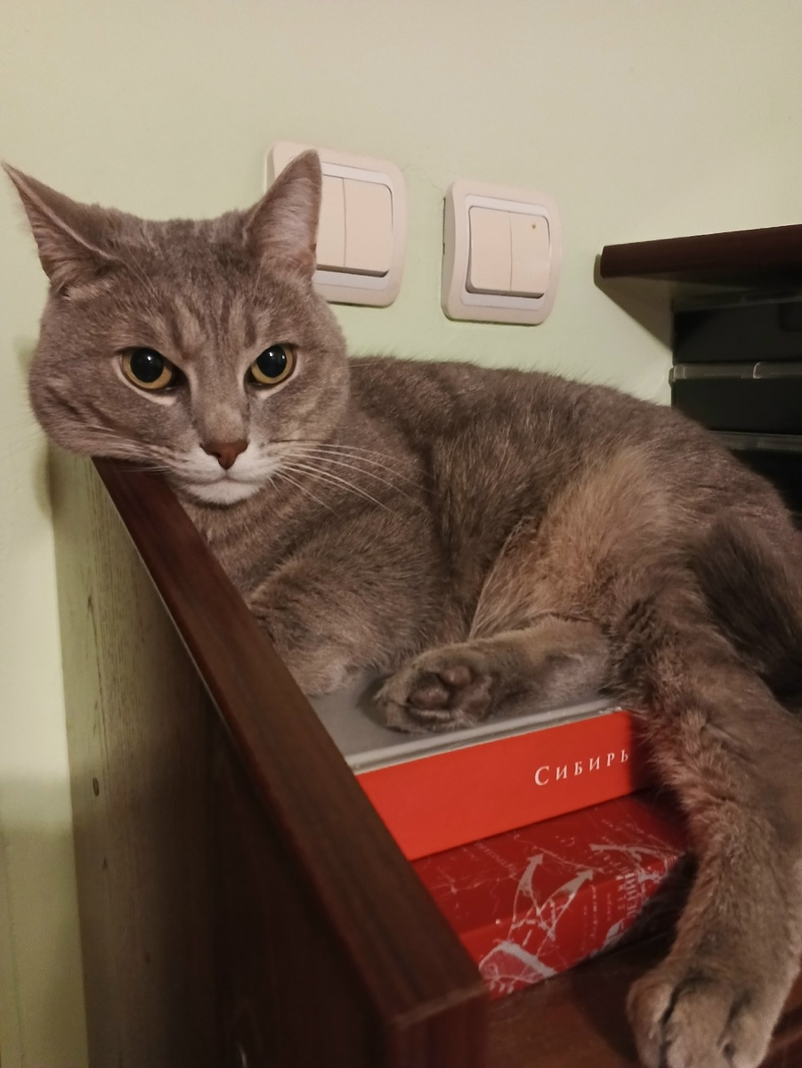 Утомился псевдоохотничек