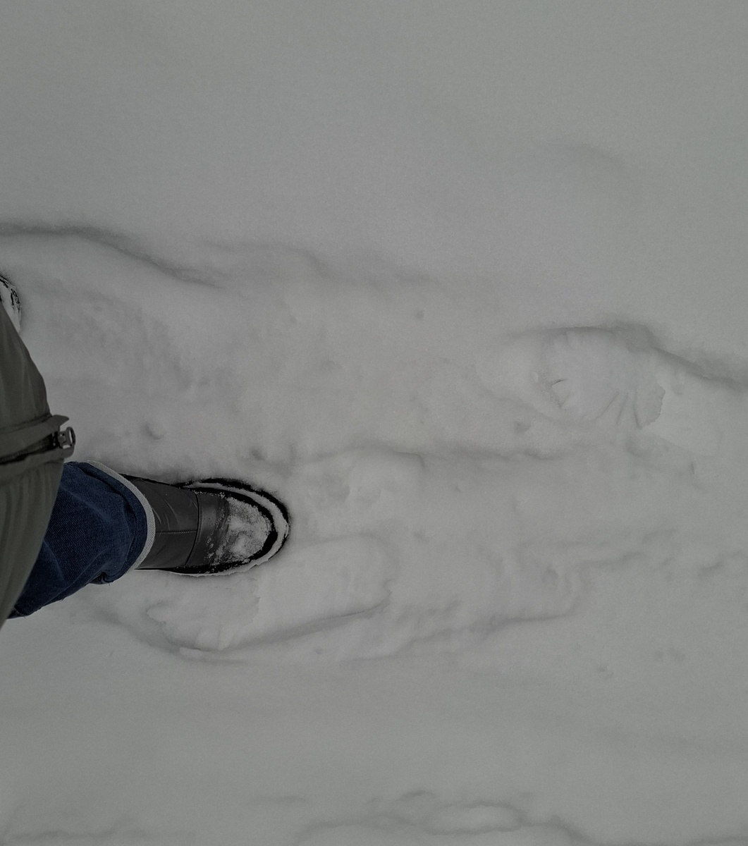 Иду около мемориала Славы. Видно, что вчера здесь чистили снег, он уже лежит небольшими сугробами по краям тротуара, но за ночь и утро выпало столько же, если не больше.