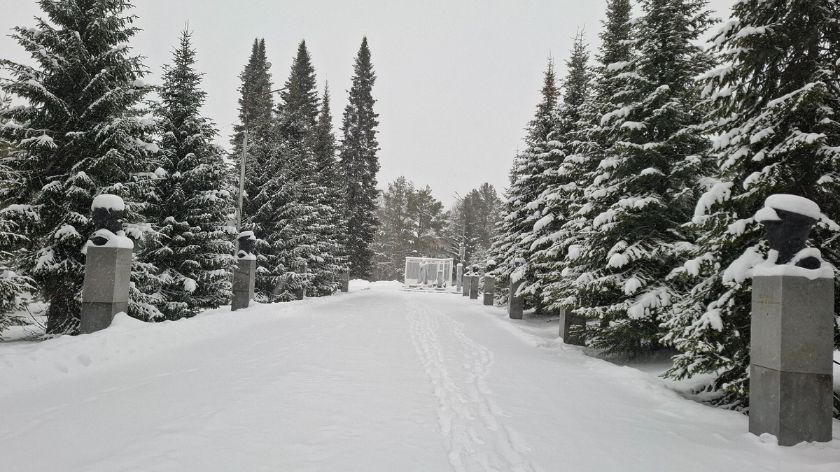 Аллея героев и Вечный огонь. Все в снегу.