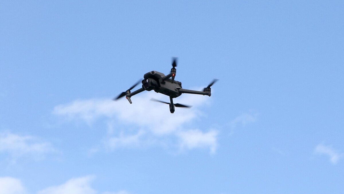    Фото: Maksim Konstantinov/Global Look Press/globallookpress.com