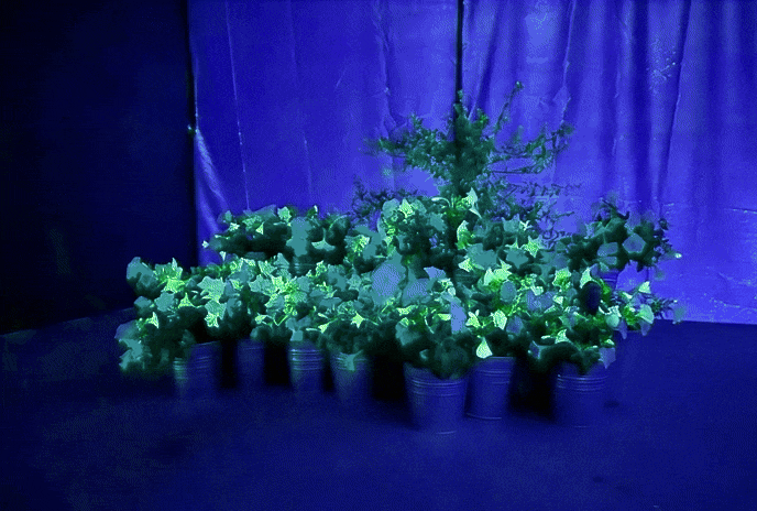 Изучение структуры ДНК — это не магия, а наука