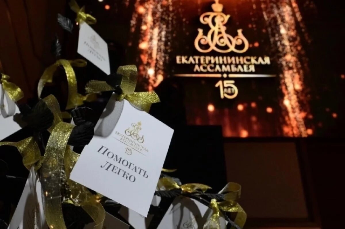    Средства, собранные на Екатерининской Ассамблее, направят на соцпроекты