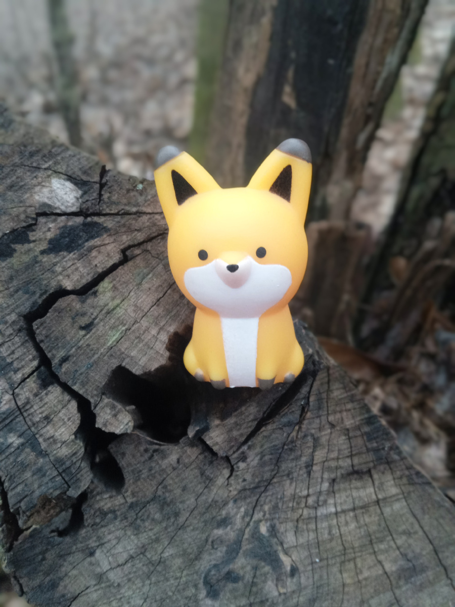 Лисичка. Фото автора.