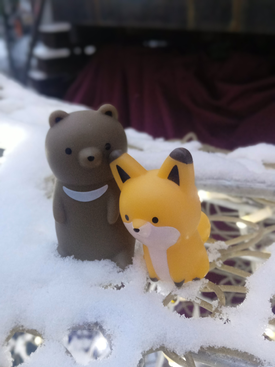 Миша и Лисичка поздоровались с Игнатием. Фото автора.