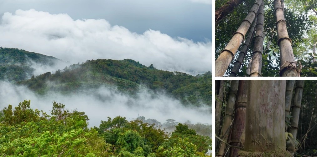 Обзорные экскурсии на Пхукете