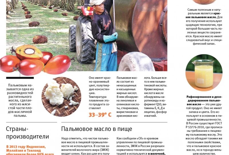 Стало известно, как правительство решило судьбу пальмового масла в России