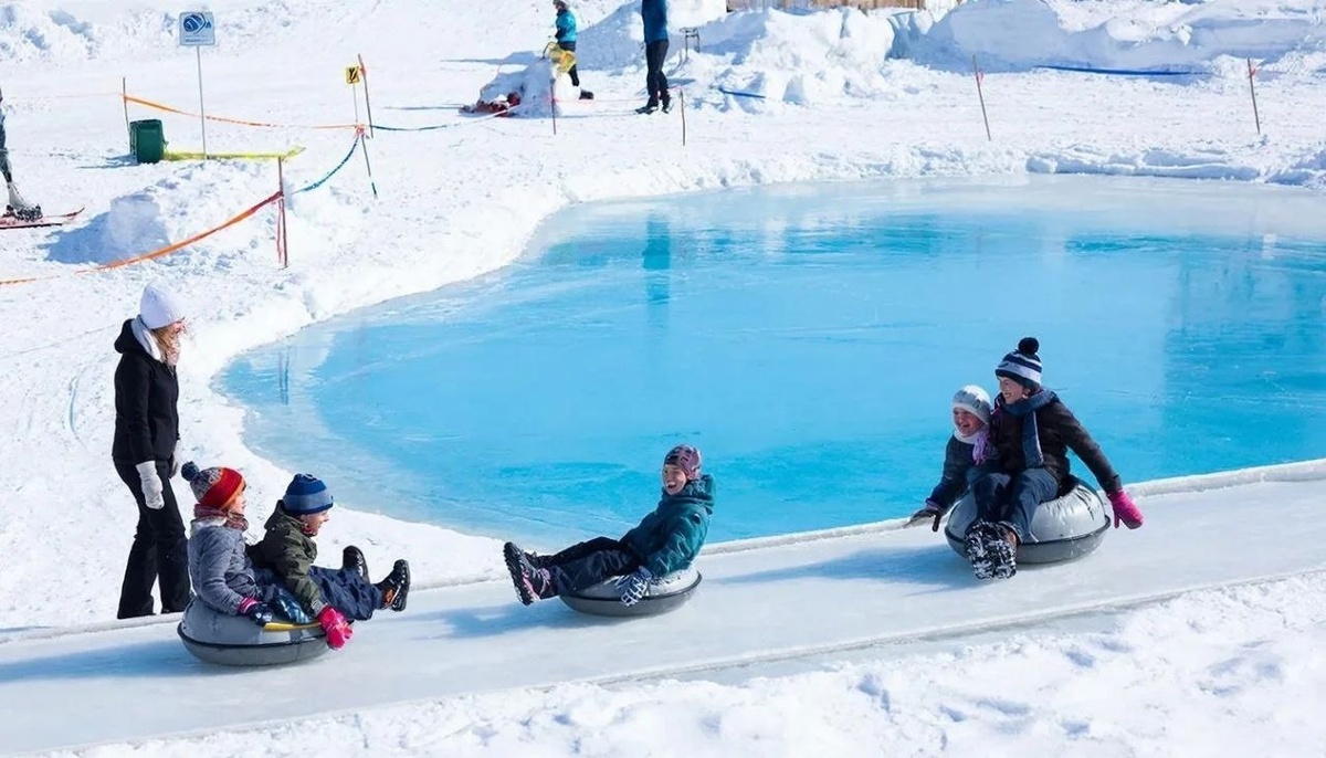 Источник заимствования — ресурсы мировой Сети