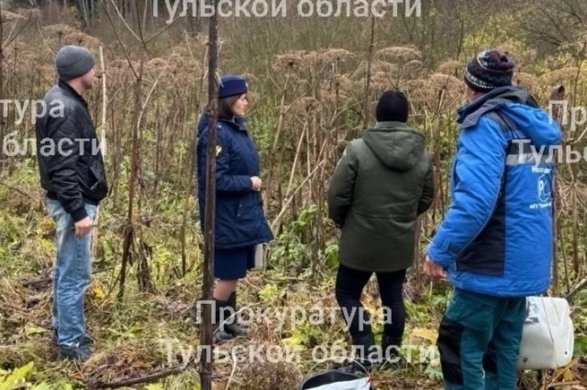    В Тульской области проверяют информацию о загрязнении воды нечистотами