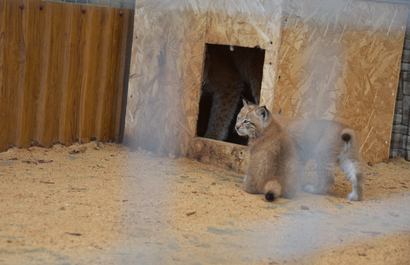 Администрация Елизовского района