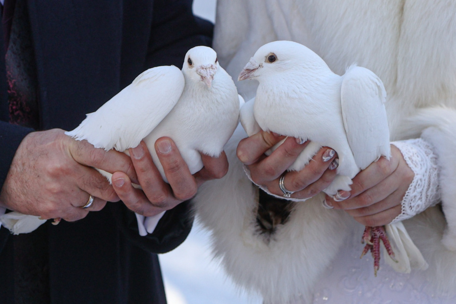    Сергей Булкин/NEWS.ru