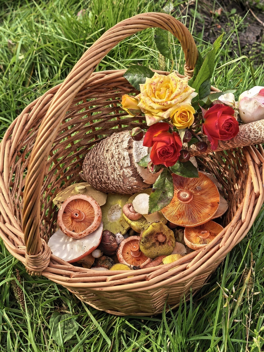 Корзина на конкурс "Корзина 2025" от Татьяны Смирновой заняла 9-е место из 92 .